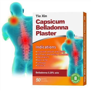 โรคไขข้ออักเสบ Pain Plaster Transdermal Patch